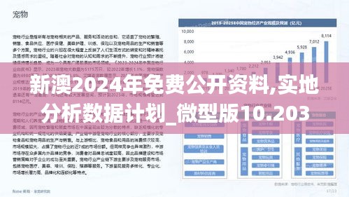 新澳2025大全正版免费,新澳2025大全正版免费，探索与启示