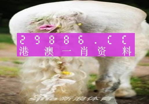 2025年2月2日 第11页