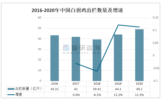 2025新澳今晚资料鸡号几号,关于新澳今晚资料鸡号的预测和分析——探索未来的可能性与机遇