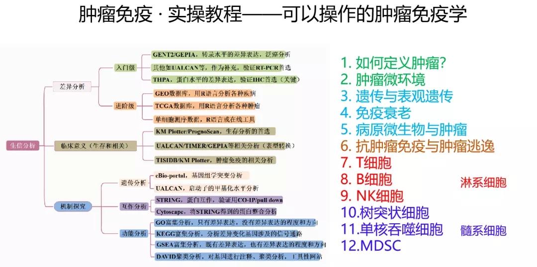 2025年正版资料免费大全优势106期 03-15-16-20-21-43R：16,探索未来，2025正版资料免费大全的优势及影响——以特定期数为例