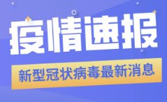 新澳精准正版资料免费119期 03-09-31-40-47-49Z：33,新澳精准正版资料免费分享，探索第119期的奥秘与魅力